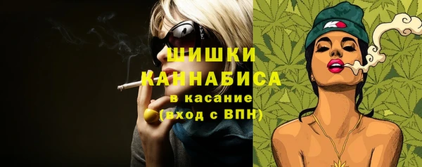 шишки Баксан