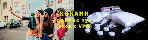 шишки Баксан
